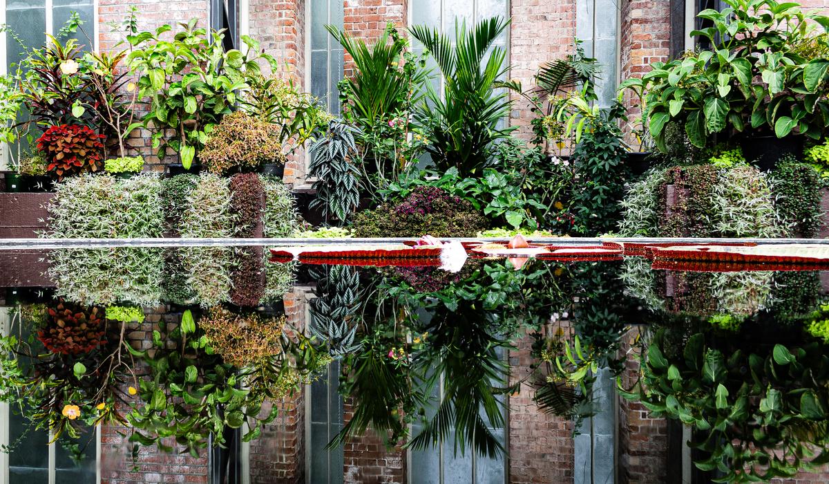 Saanvi Bhargava;Wintergarden reflections;Mirror, mirror in the pond,  what is eye catching of all?  Vividly pond water reflects leafy green plants, contrasting against the red brick wall.  Saanvi explained this outstanding picture  like a colour explosion in a tree mall (Auckland Wintergarden).