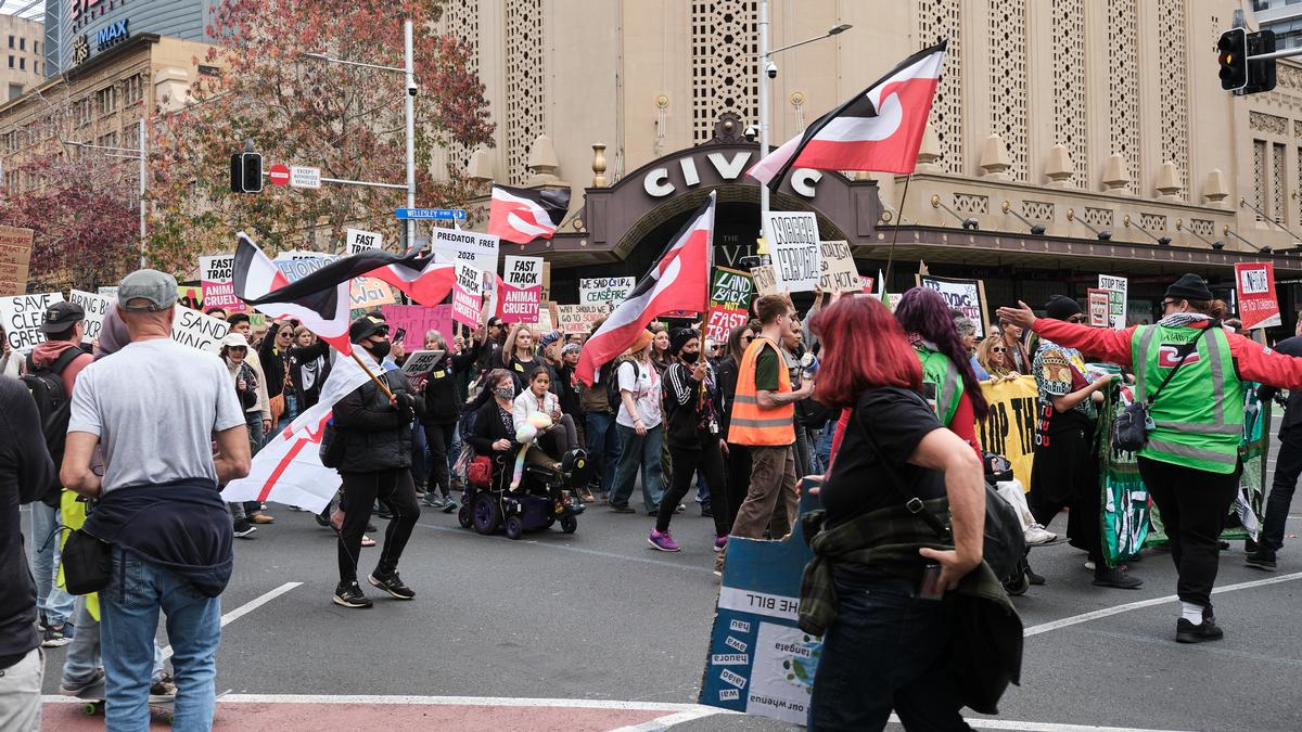 Barry Williams;Protest Against the Fast Track Bill