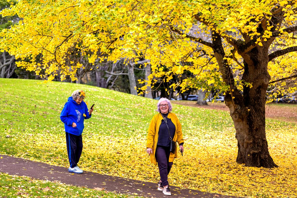 Bin Bai;Happy in late autumn