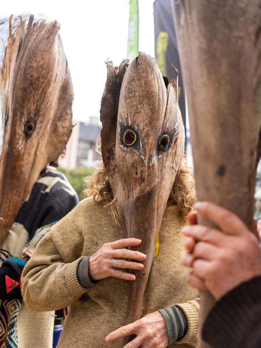 Carolyn Sylvester;Nikau