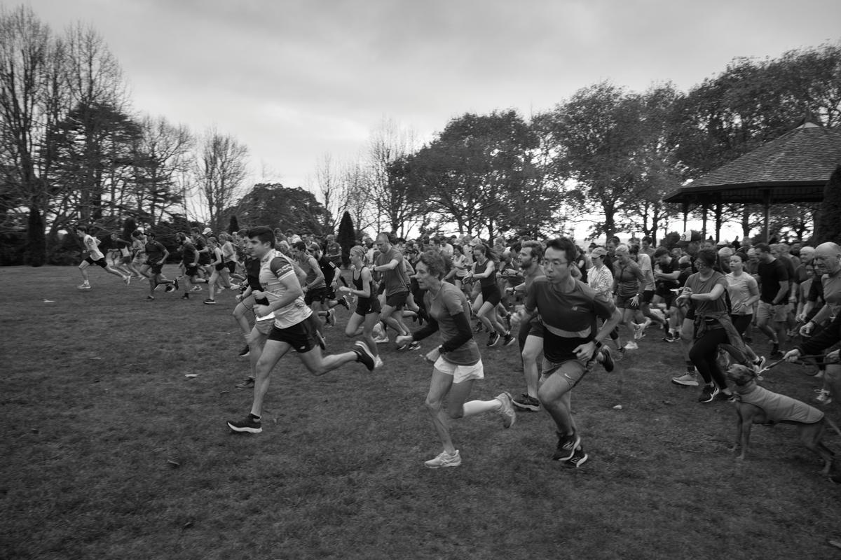 Harry Hochmann;Start of the parkrun in Cornwall park at 8am with 317 parkrunners