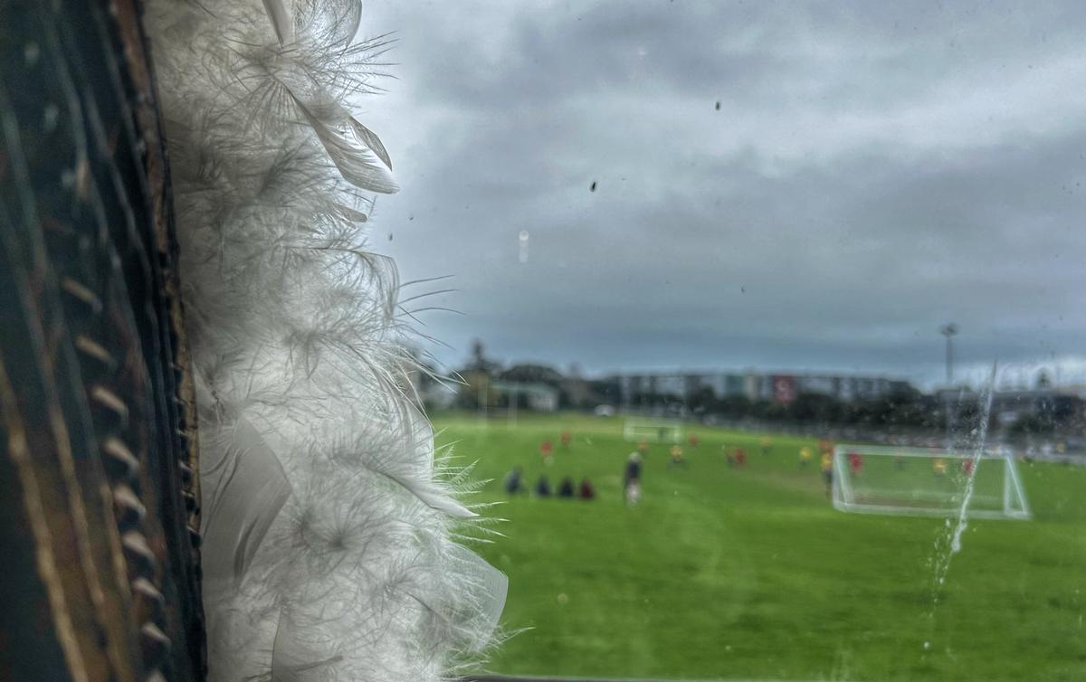 Lynn Clayton;View from Arts centre to the Rosmini  College playing fields