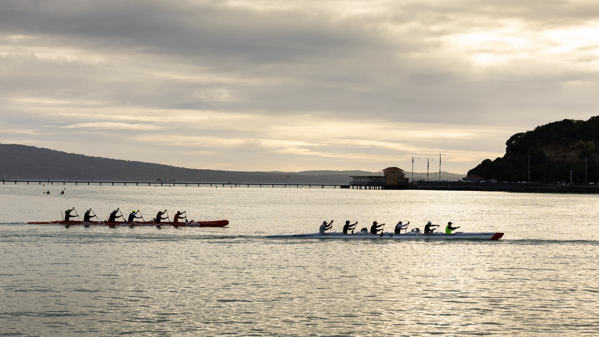 Martin Heffer;On the water at Okahu Bay