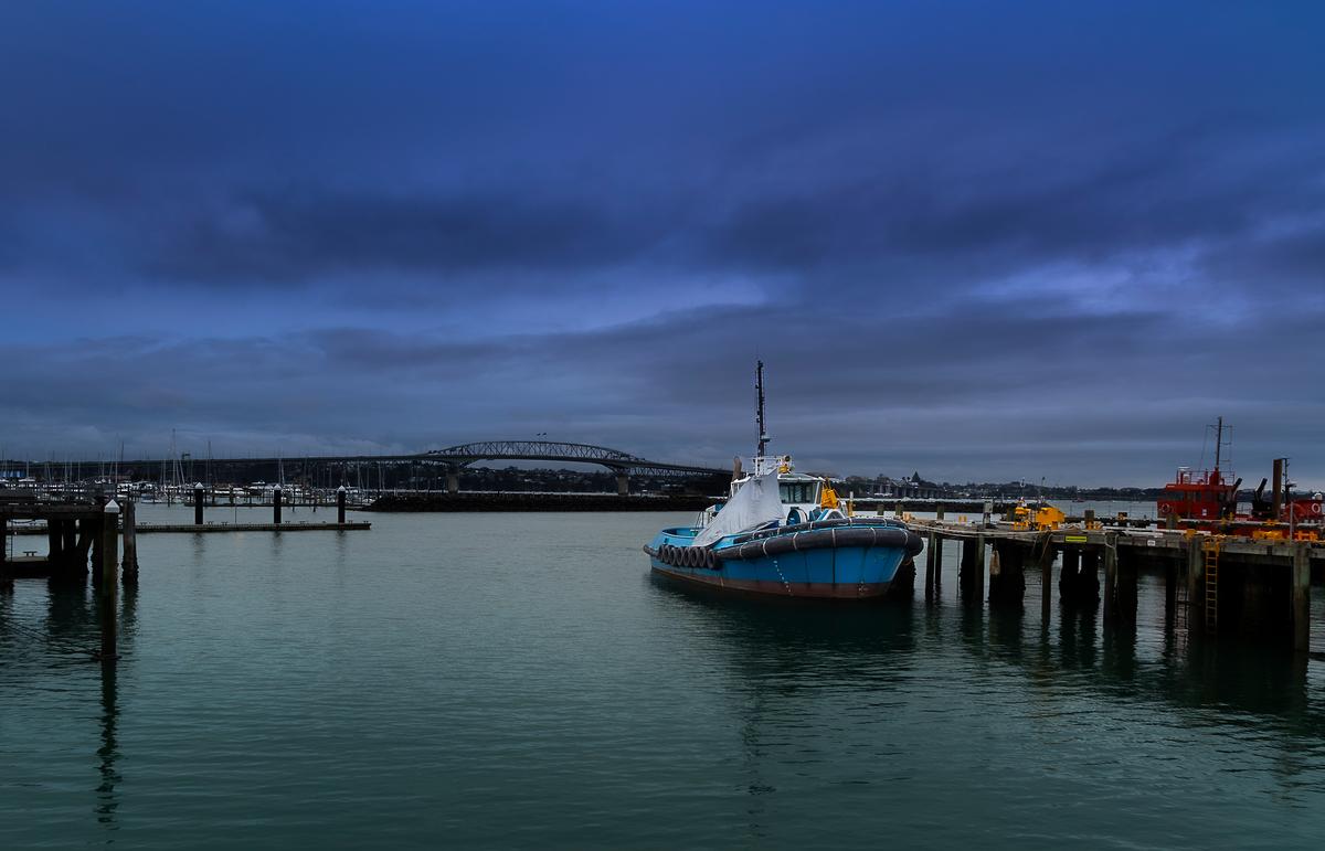 Nancy Liao;Auckland harbour