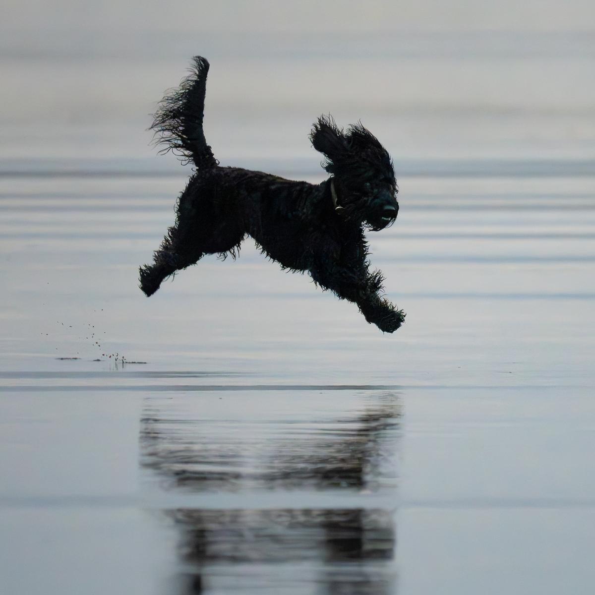 Sharon Souproanuck;Muriwai Joy