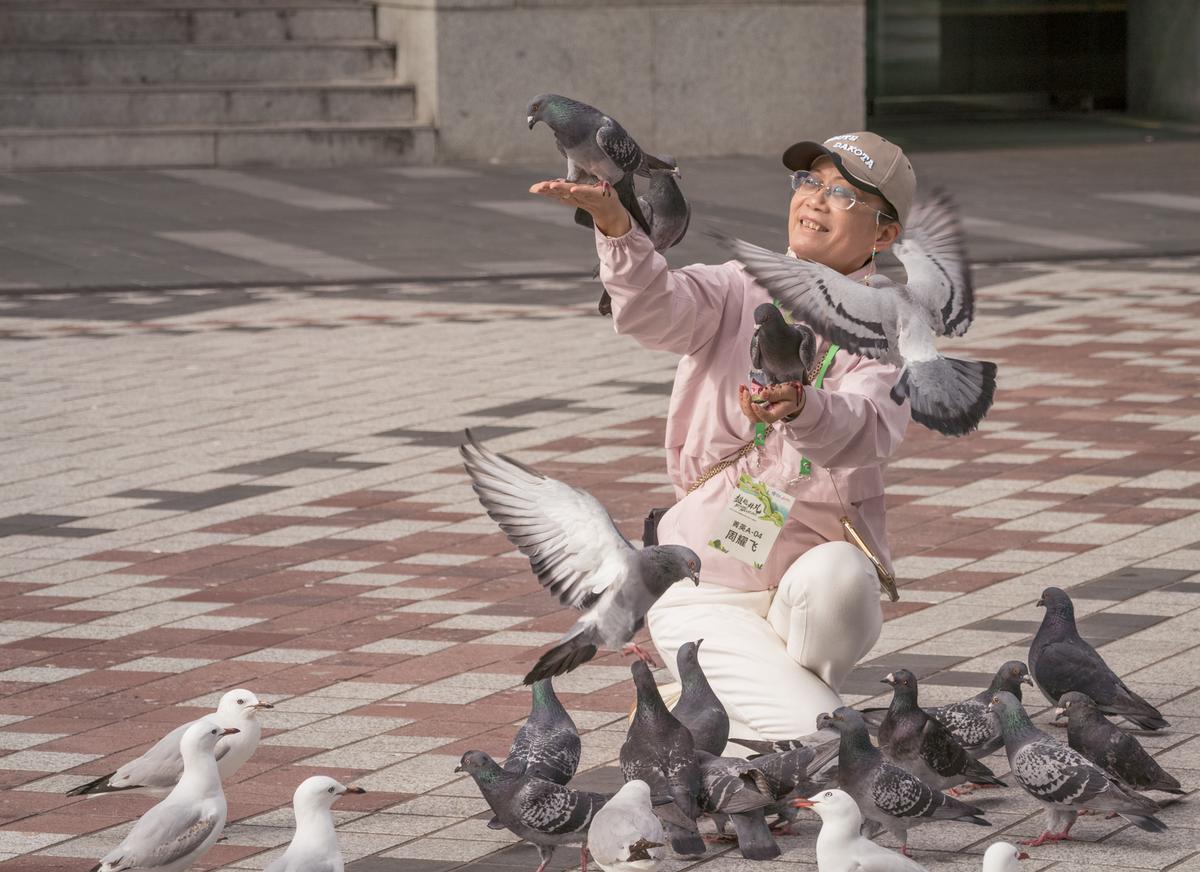 Theresa Simson;Feeding the birds