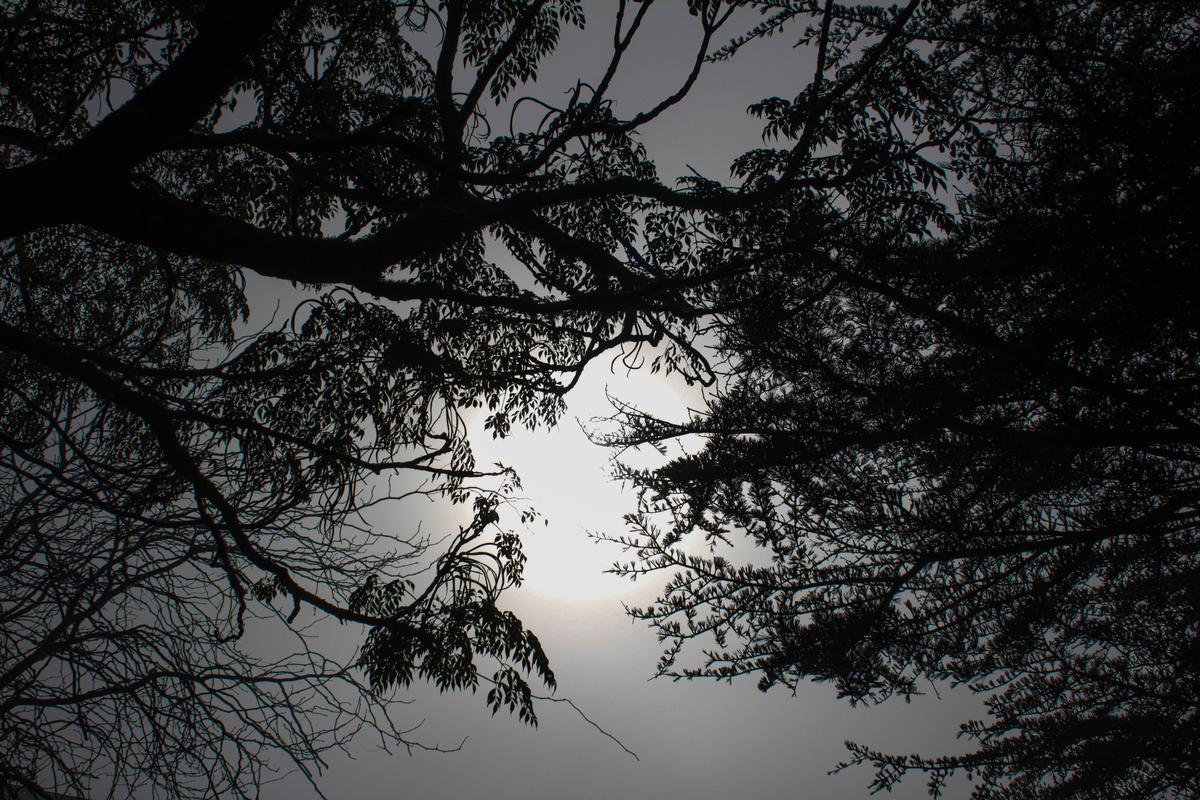 Andrei Cruz;Spotlight Moonlight;This photo is inspired by XXXTentacion from his song called