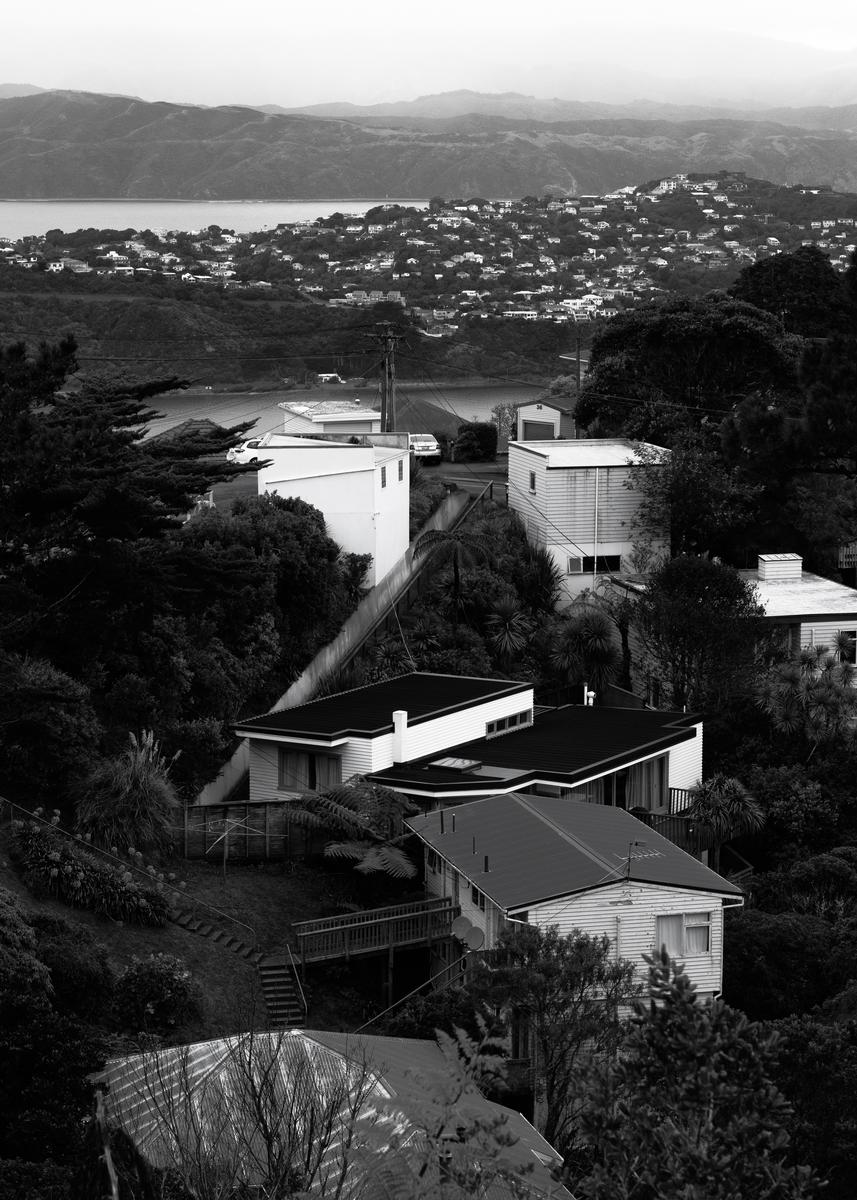 Daniel Clay;Submissive By Choice?;This photo depicts how the migration of humans into Aotearoa has resulted in the loss of a vast expanse of natural land in order to make way for housing. What once was an untouched environment has now faced the consequences of being invaded by the humans and their societal elements. The housing in this photo in Wellington truly appears as an invasive species and an eyesore which doesn't fit in with the aesthetics of Aotearoa's natural environment. It shows the negative effects which come with urbanization