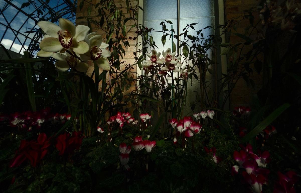 Florence;Flowers