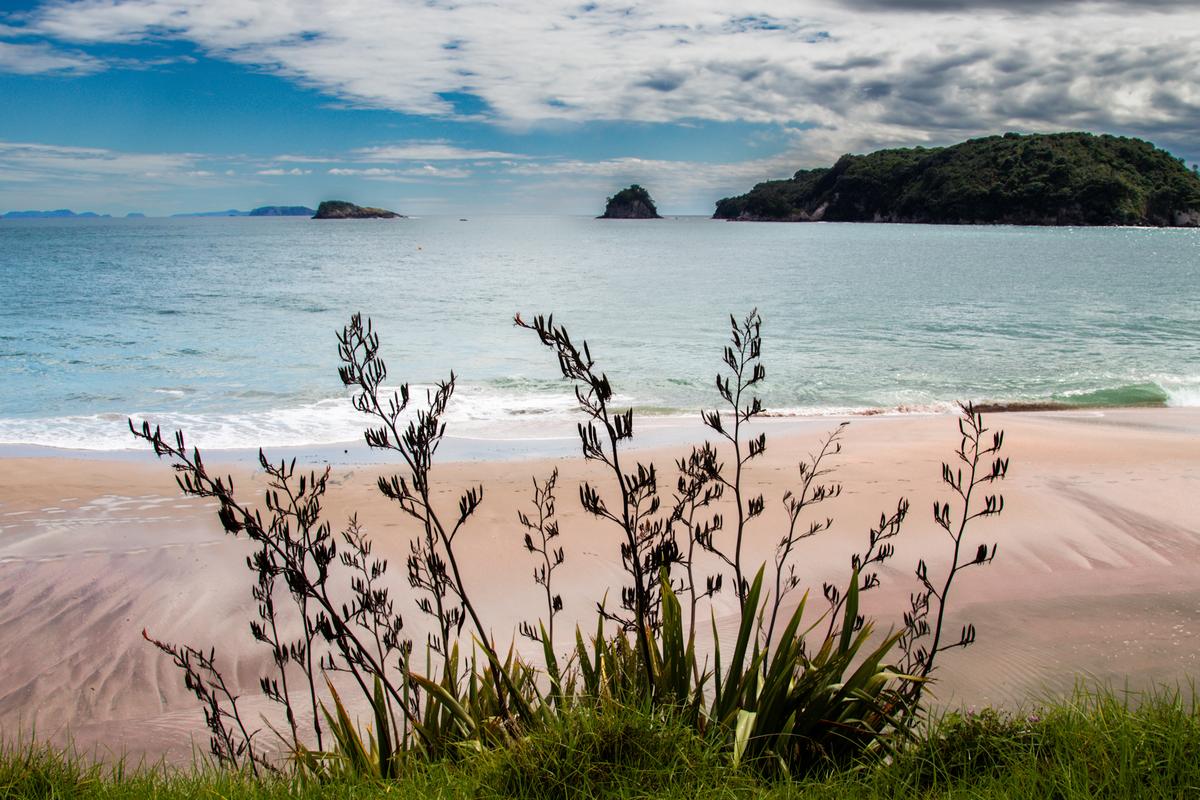 Indie Ford;Feathers Fanning The Beach