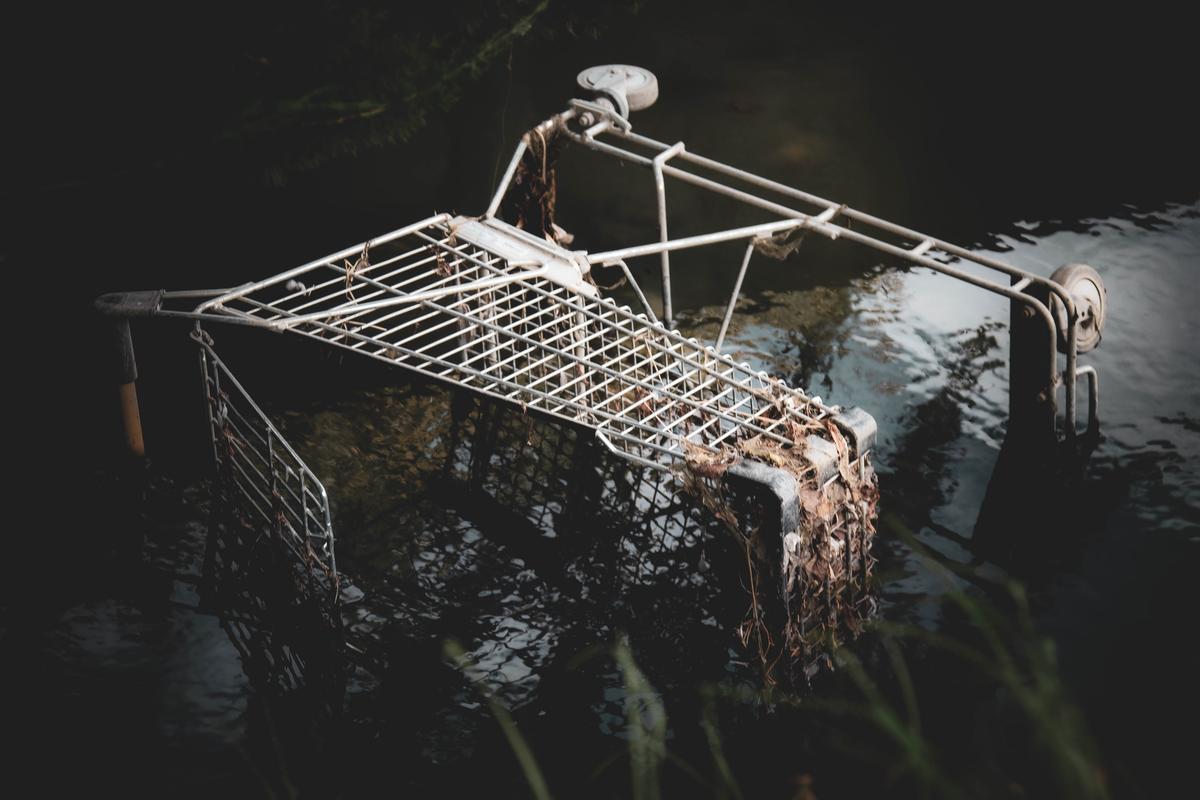 Indie Ford;Swim Trolley Swim