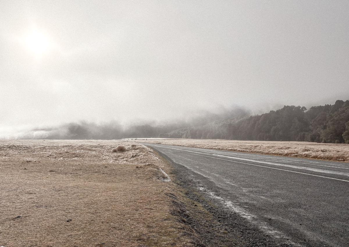 Winny He;The road to...;where? the road to where. Frost starts to build on the very surface of concrete and dead grass. Consumed by a thick blanket of mist.