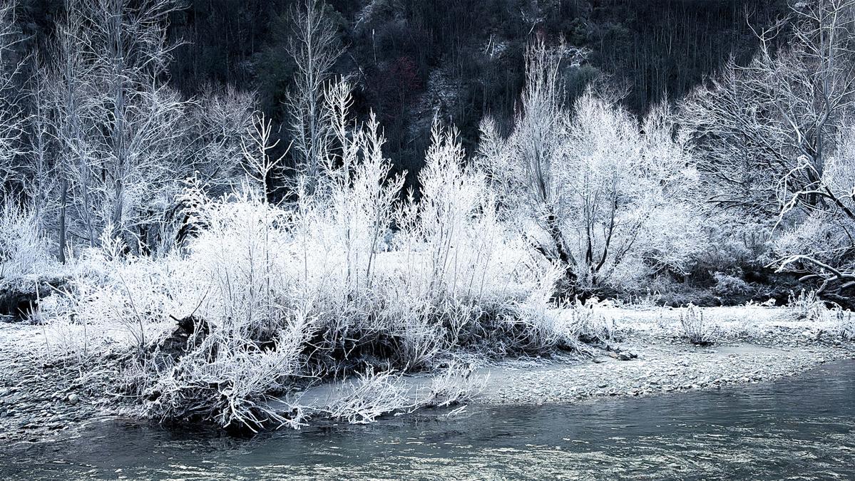 Winny He;When the world turns white;Delicate white branches painted in white frost. A magical moment where the icy trees meets the still water
