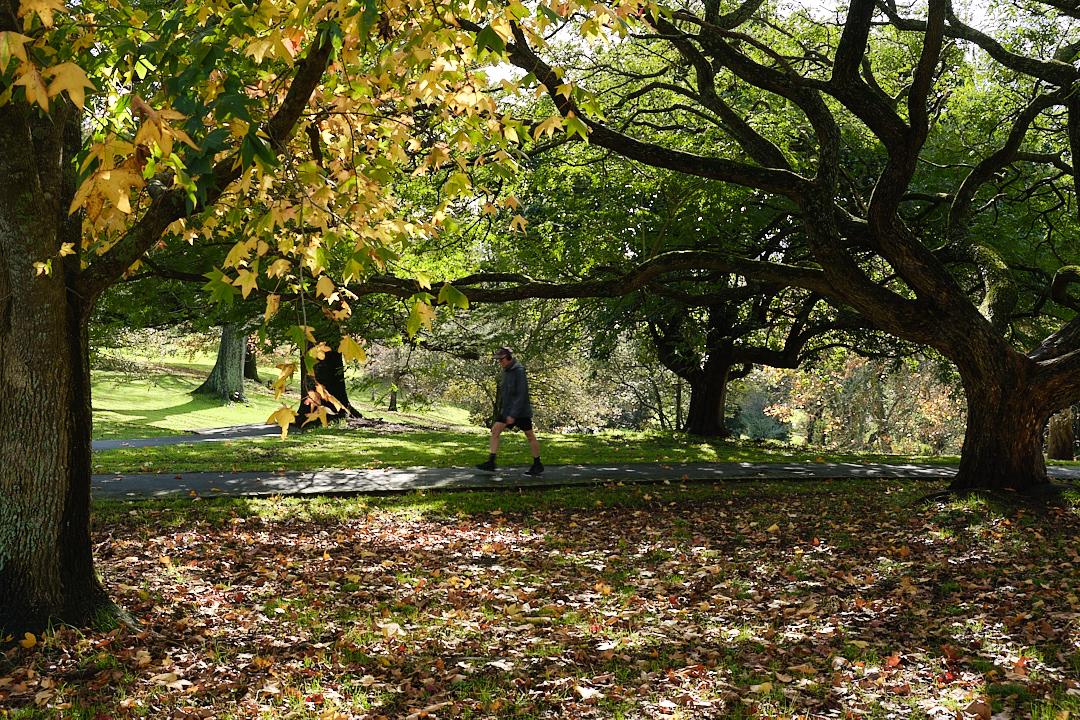 Barry Williams;Autumn stroll