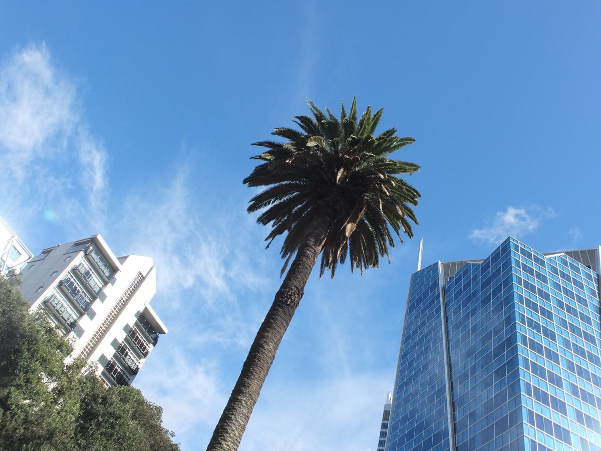 Bruce Ross;Whare tītoke Te rengarenga (Emily Place Skyscrapers)