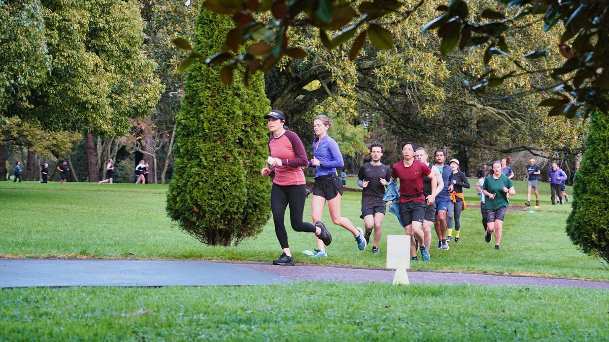 Harald Hochmann;The Cornwall Park Loop