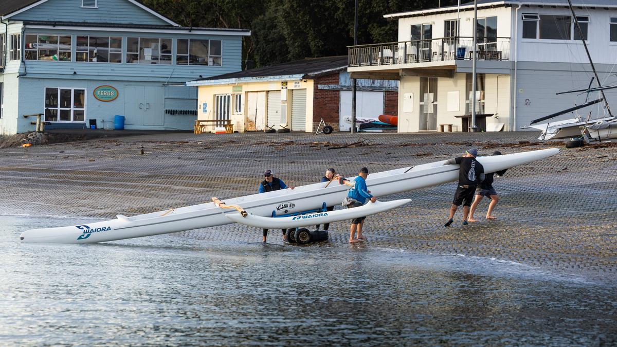 Martin Heffer;Waiora