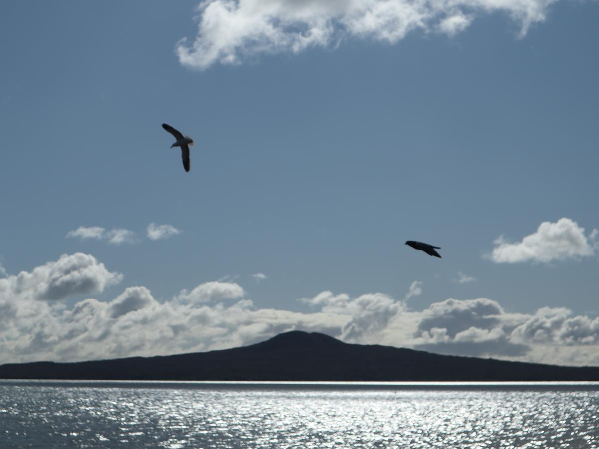 Phillip Wong Toi;To The Island