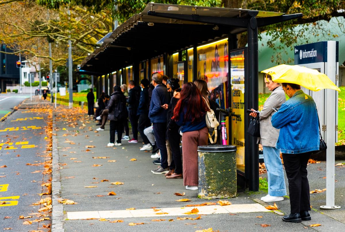 Roger Brown;There are never any buses when you want one