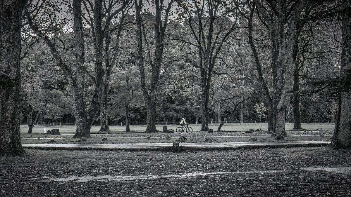 Thum Promtrai;Commute in the Park