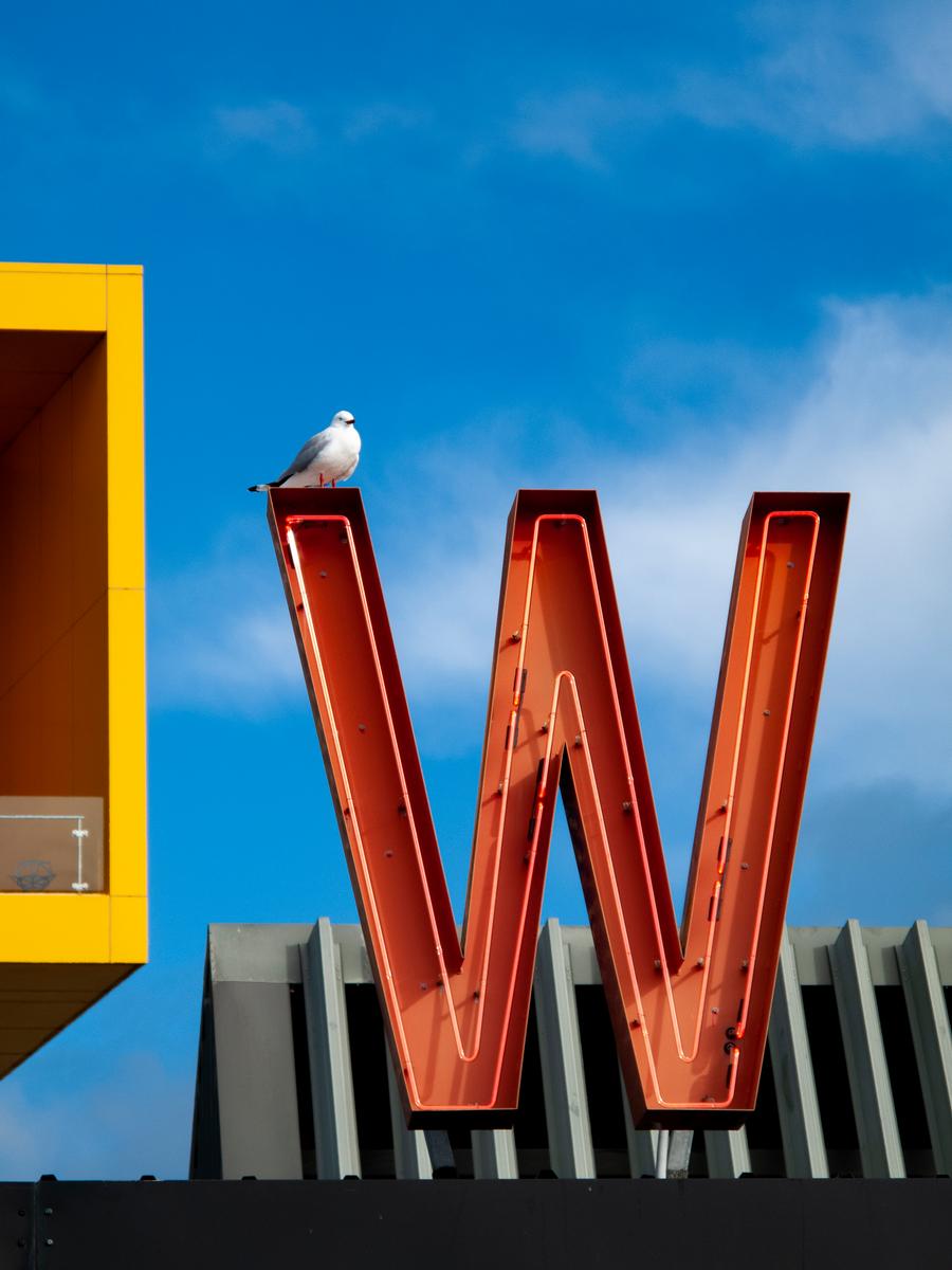 Yuki Wada;NORTH WHARF WEATHER REPORT