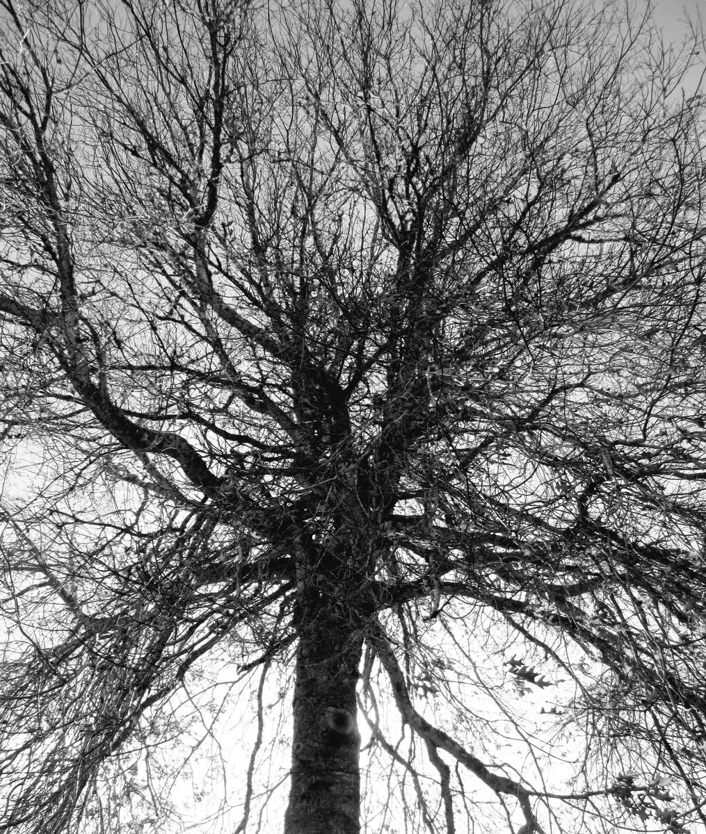 sarah;After the sun hides