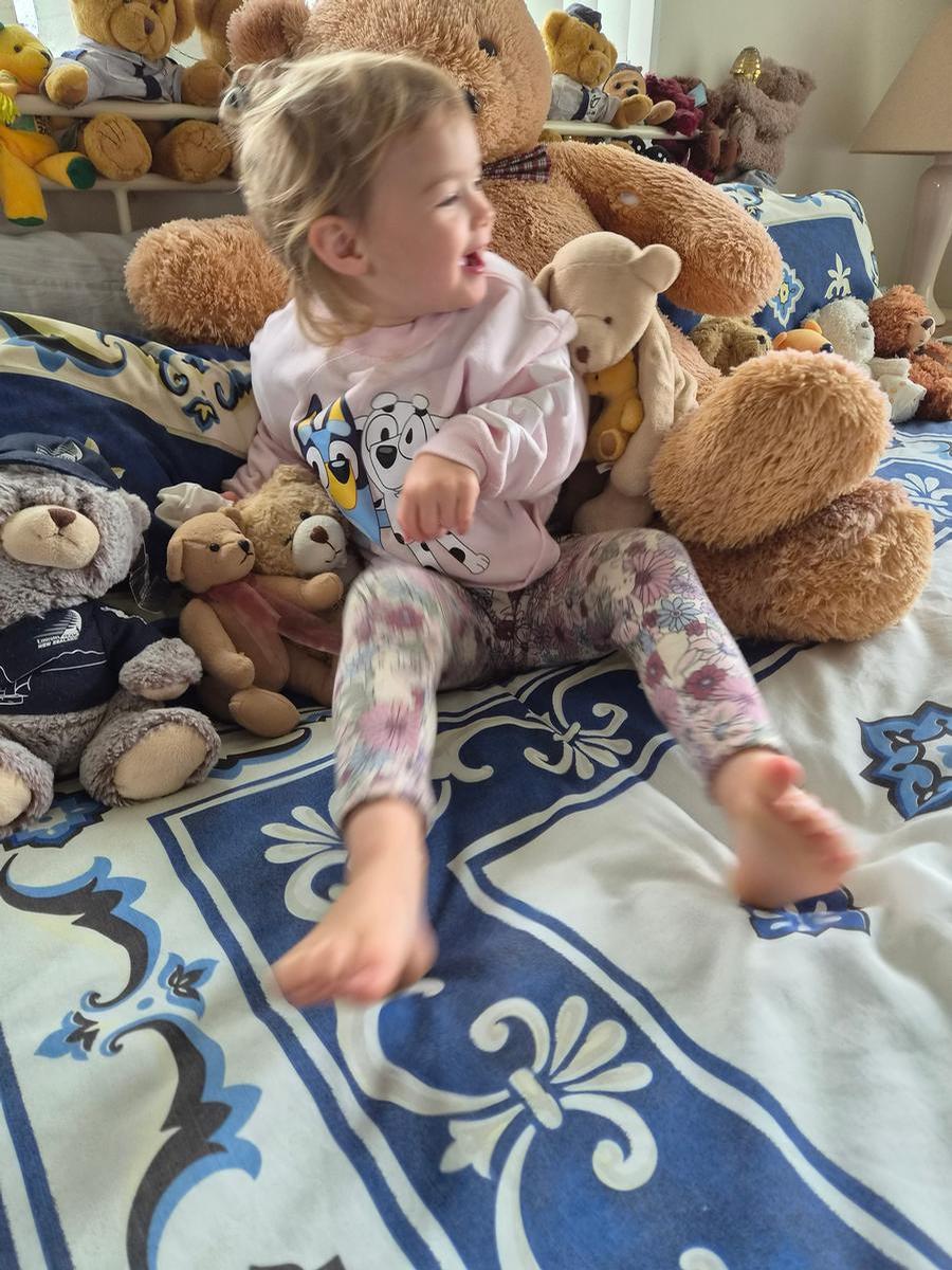 Cheryl Braithwaite Smith;Beary good fun