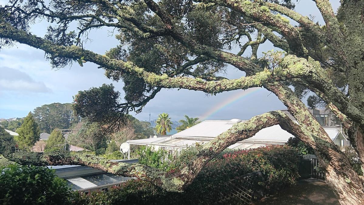 Elysia Lokes;Rainbow