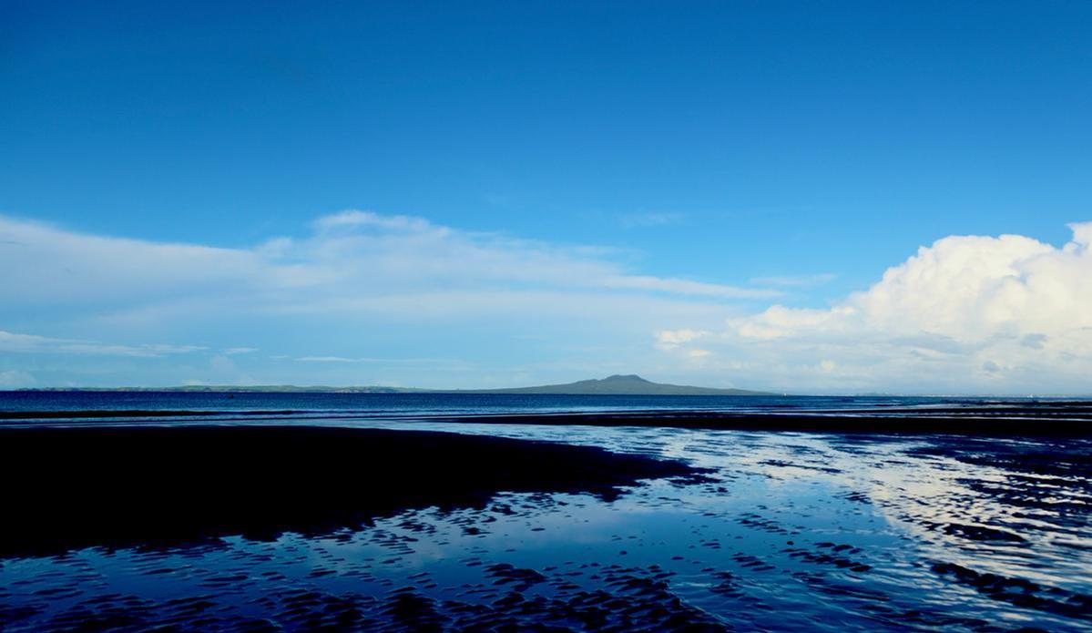 Previn Vasar;Winter in the Bay