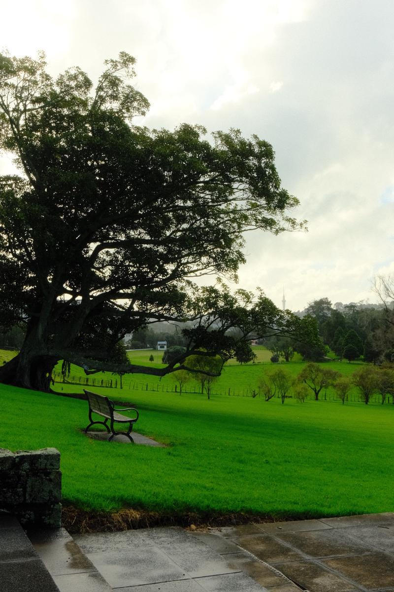 Sophie Alexander;Between Showers