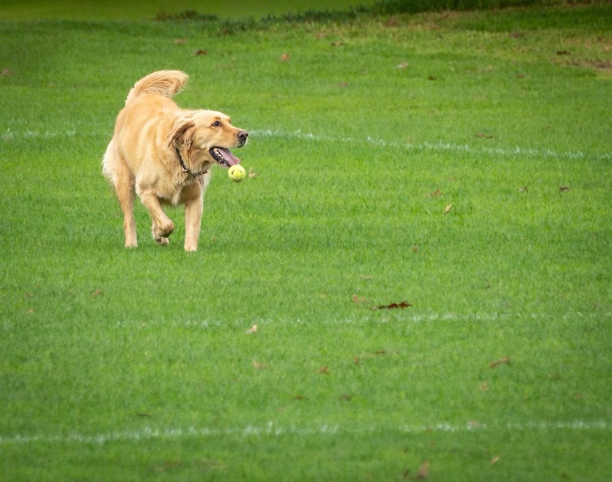 Theresa Simson;Dropping the ball