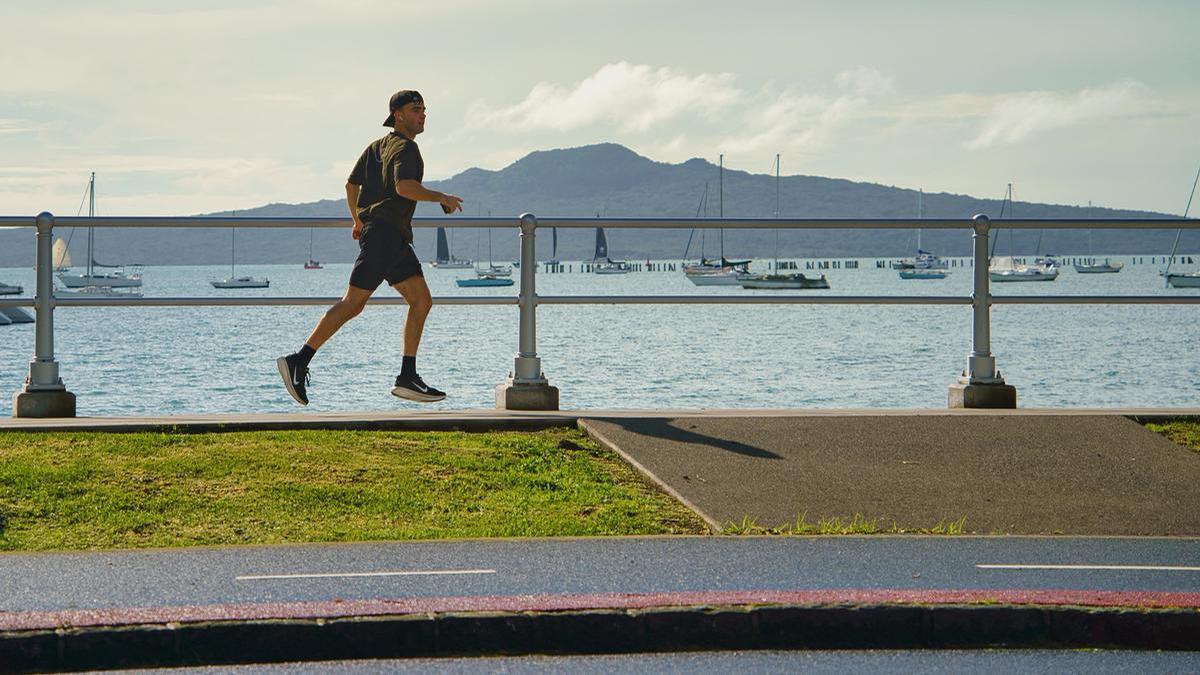 Harald Hochmann;Flying Past Rangitoto