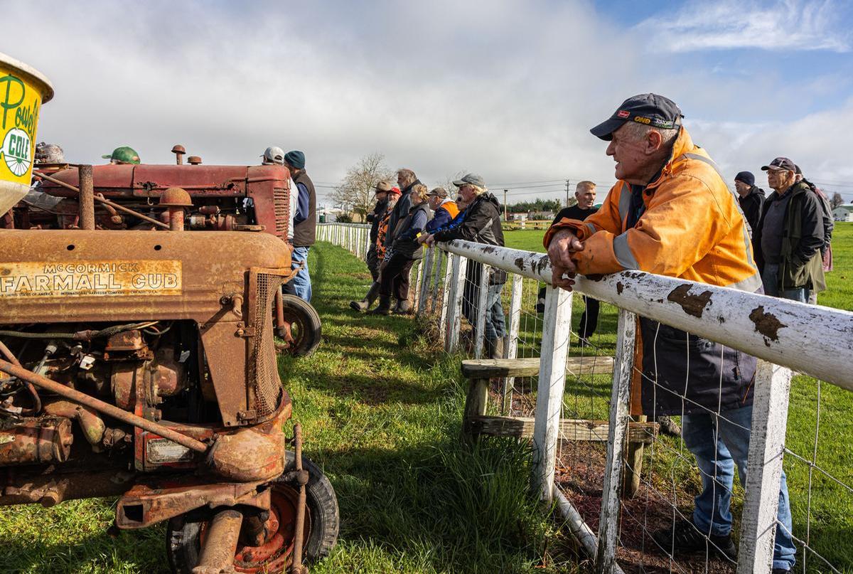 Ann Jones;Helensville Show Grounds