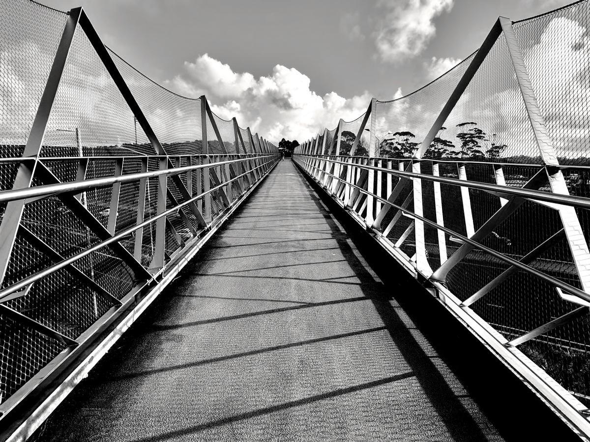 Sophia Elise;Bridge over troubled motorway