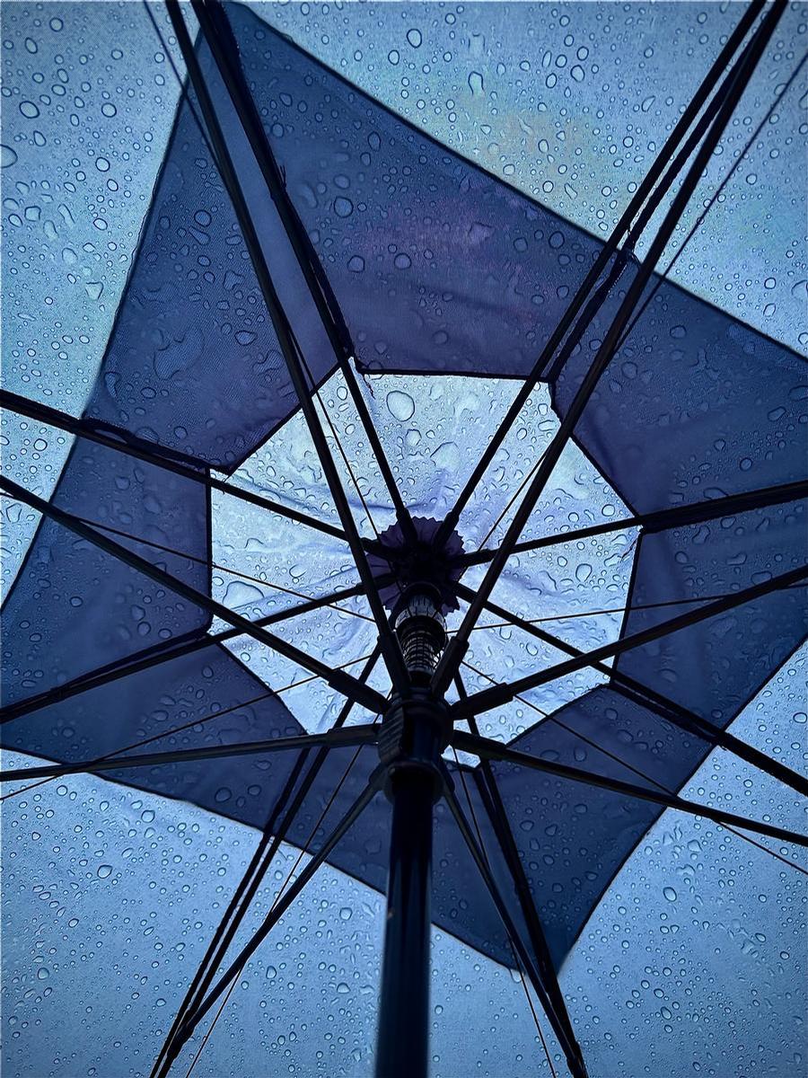 Sophia Wansbrough;Singing in the Rain