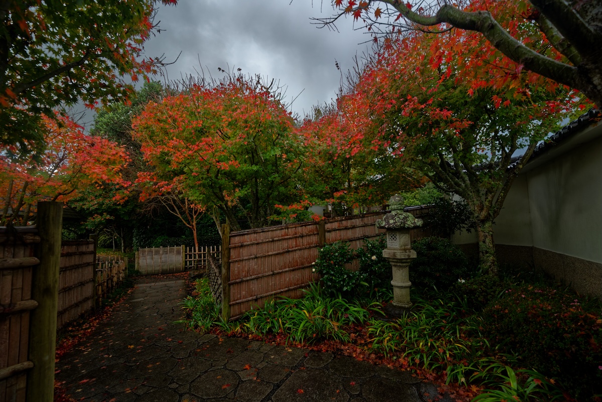 Joe Tadashi Jokagi Whispers Of Japan, Far From Home