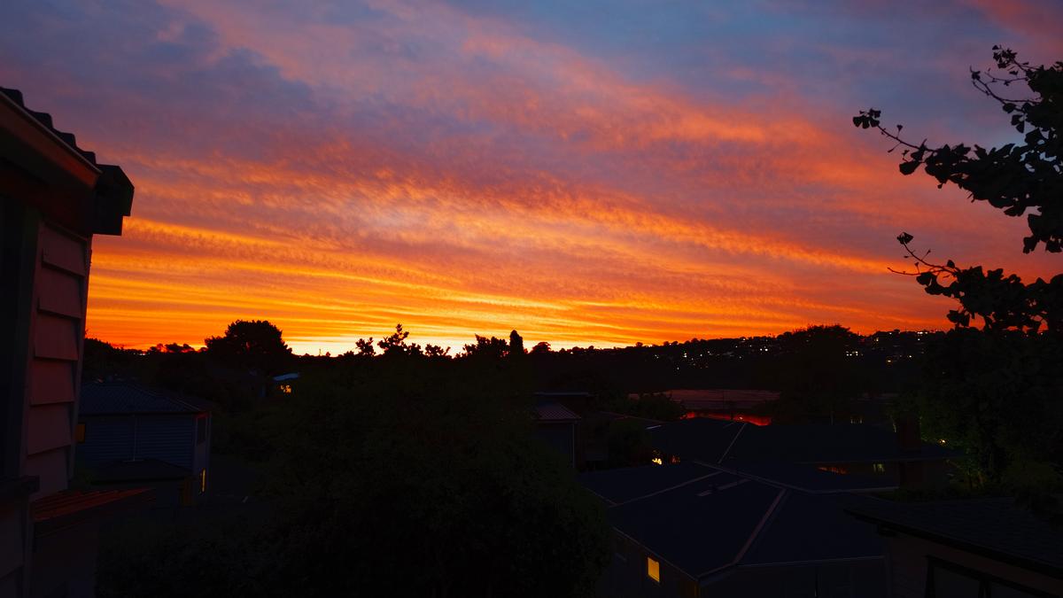Lydia Lin Sunset