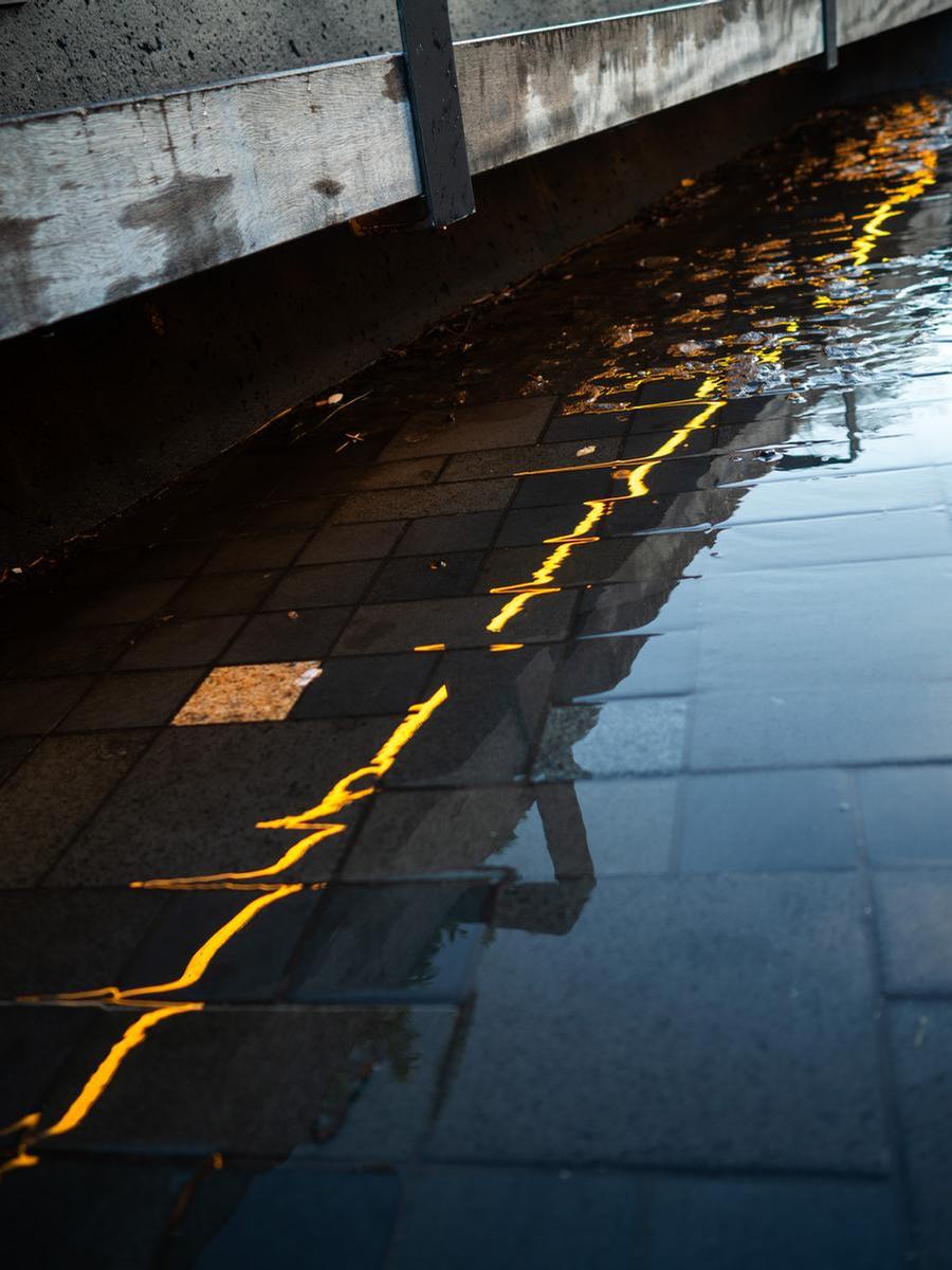 Oscar Schliebs;Light line