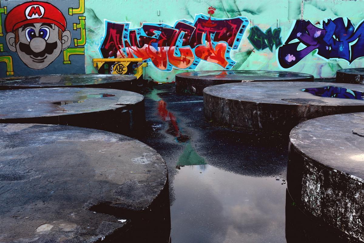 Maria Wood;Splattered Reflections In The Mushroom Kingdom