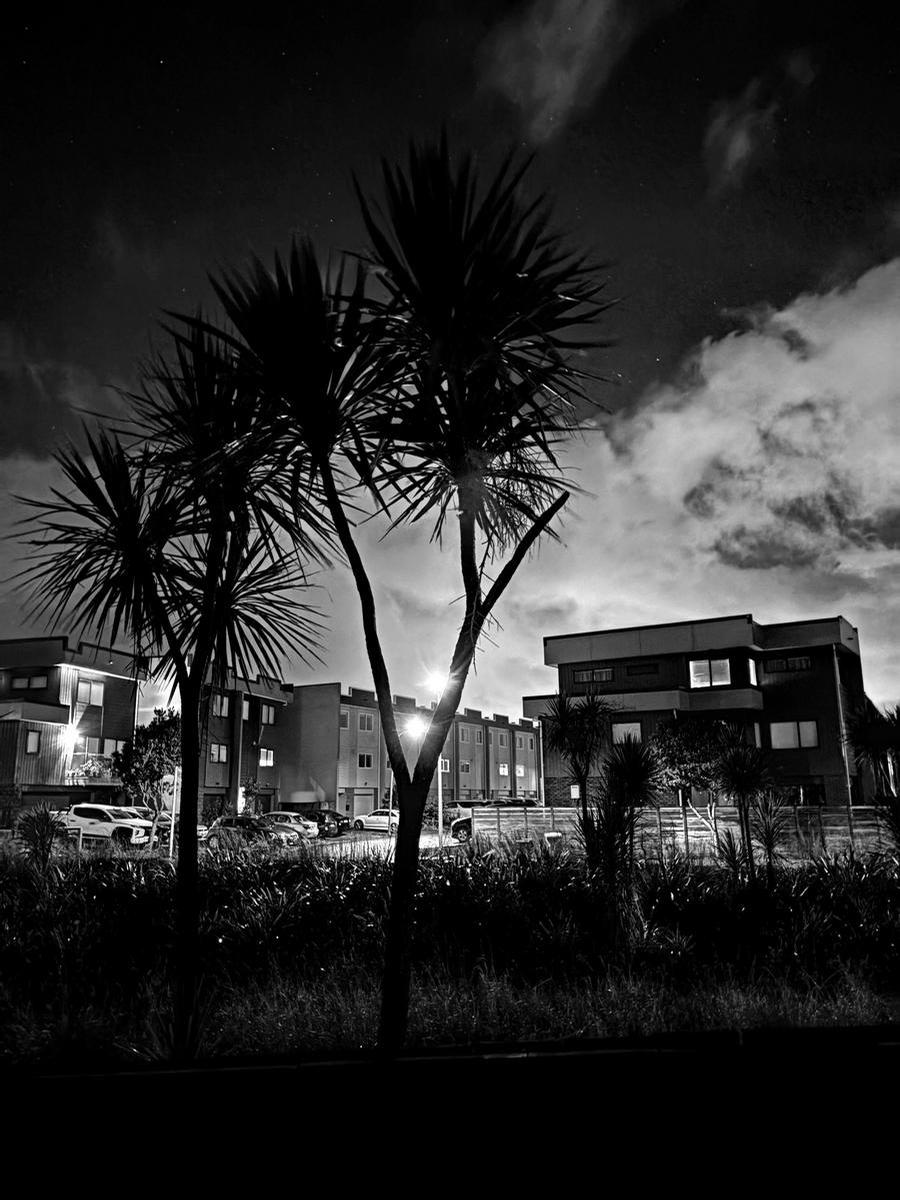 Maria Wood;When Auckland Sleeps
