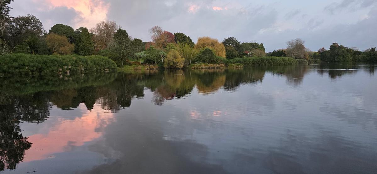 Julie Person;The Lake
