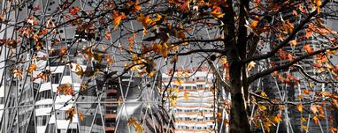 Kerry Marinkovich;Abstract Autumn Architecture