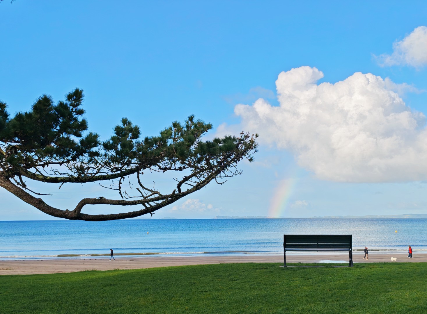 Celine Shi;Seaside Calm with a Hint of Rainbow