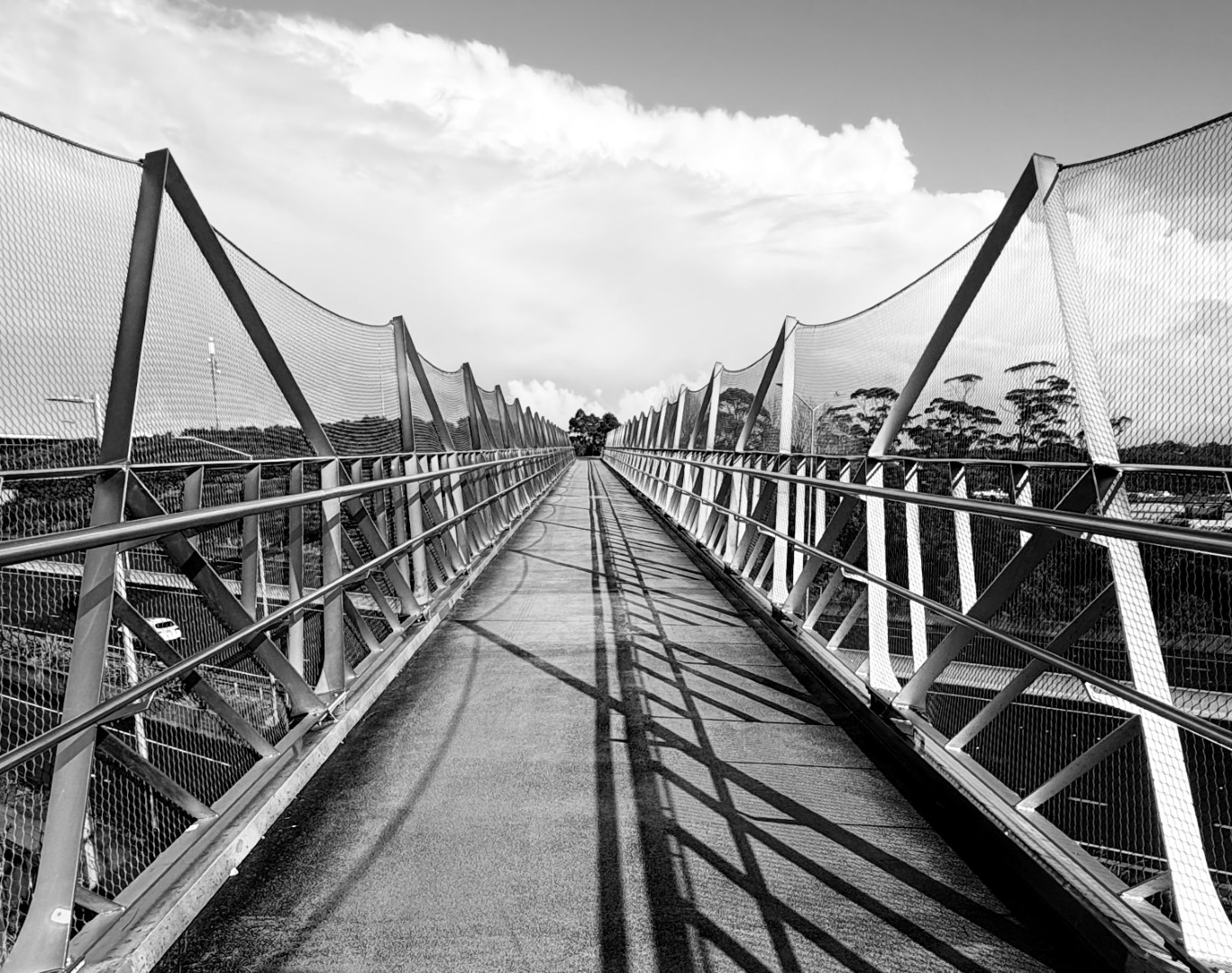 Sophia Elise;Bridge too far