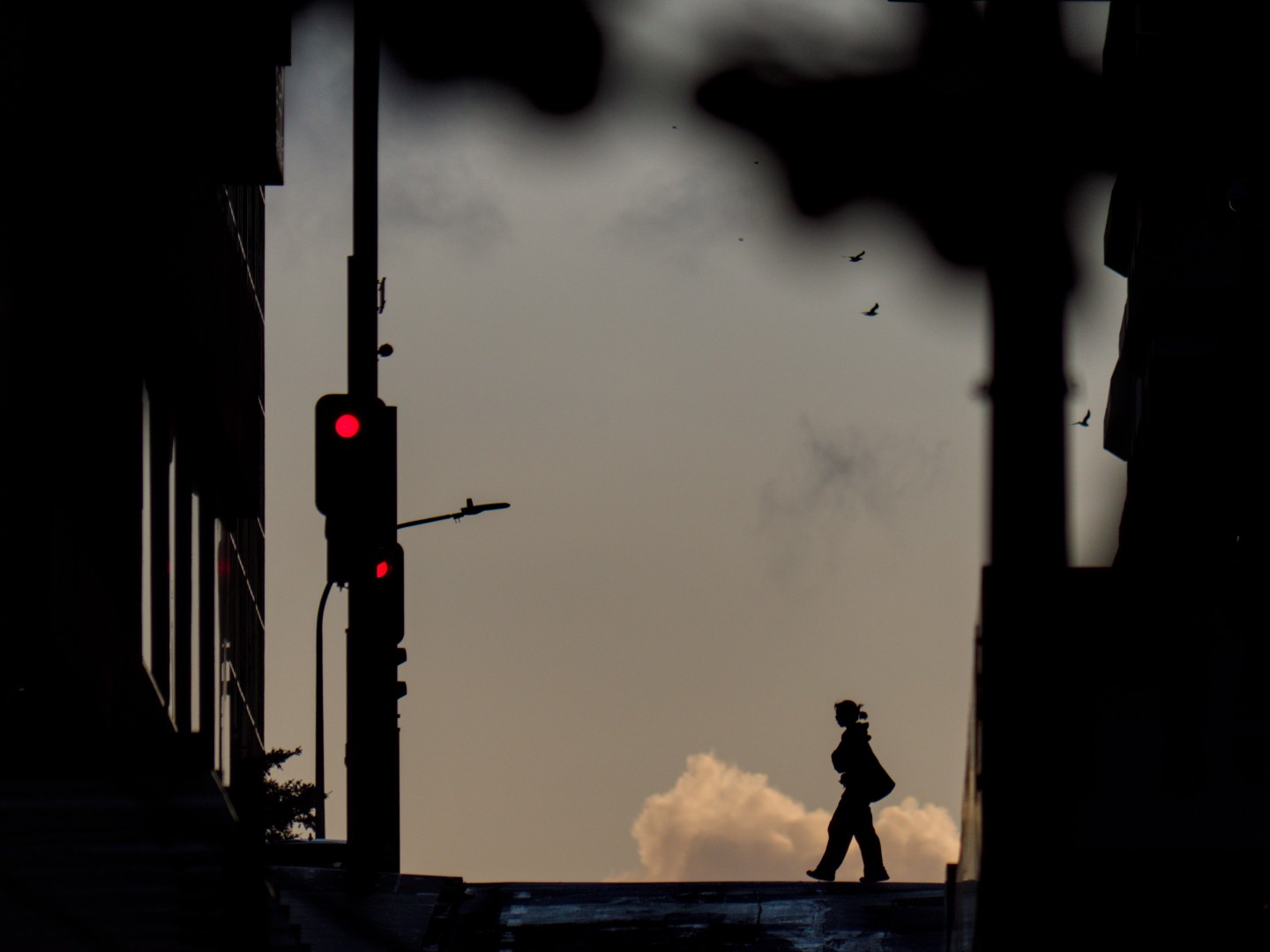 Gaku Aoyagi;Twilight Walk