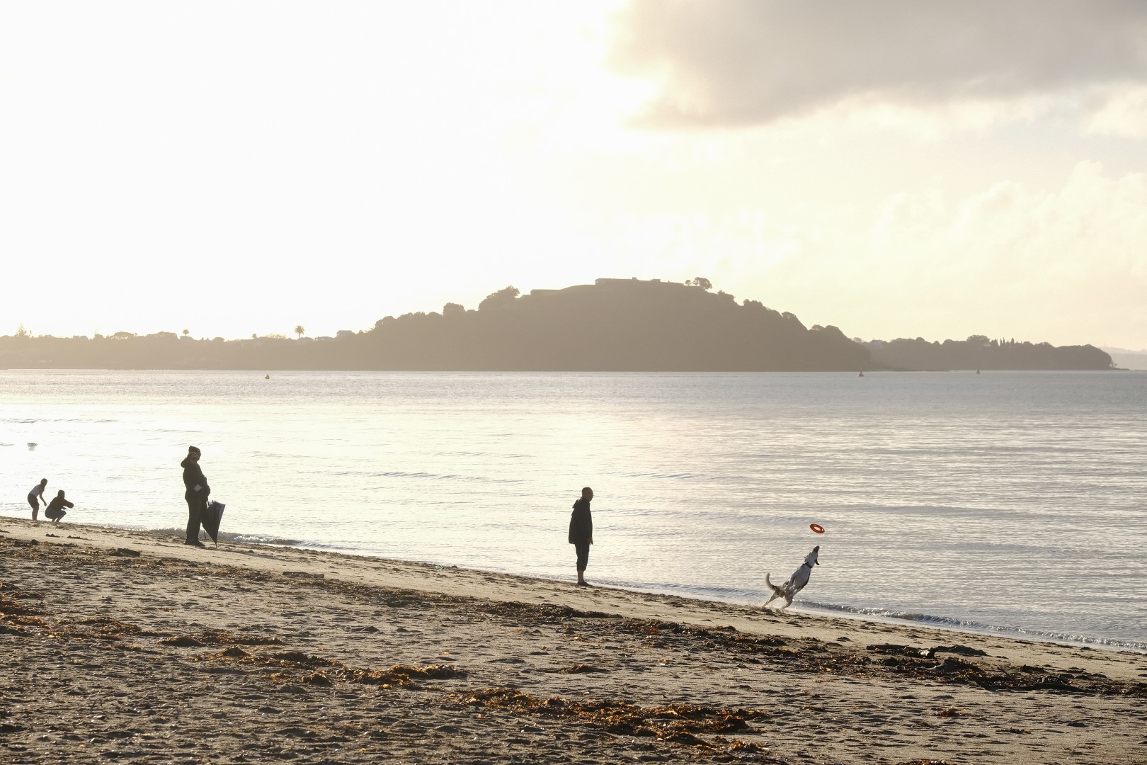 Steven Zhang;On the beach at dusk